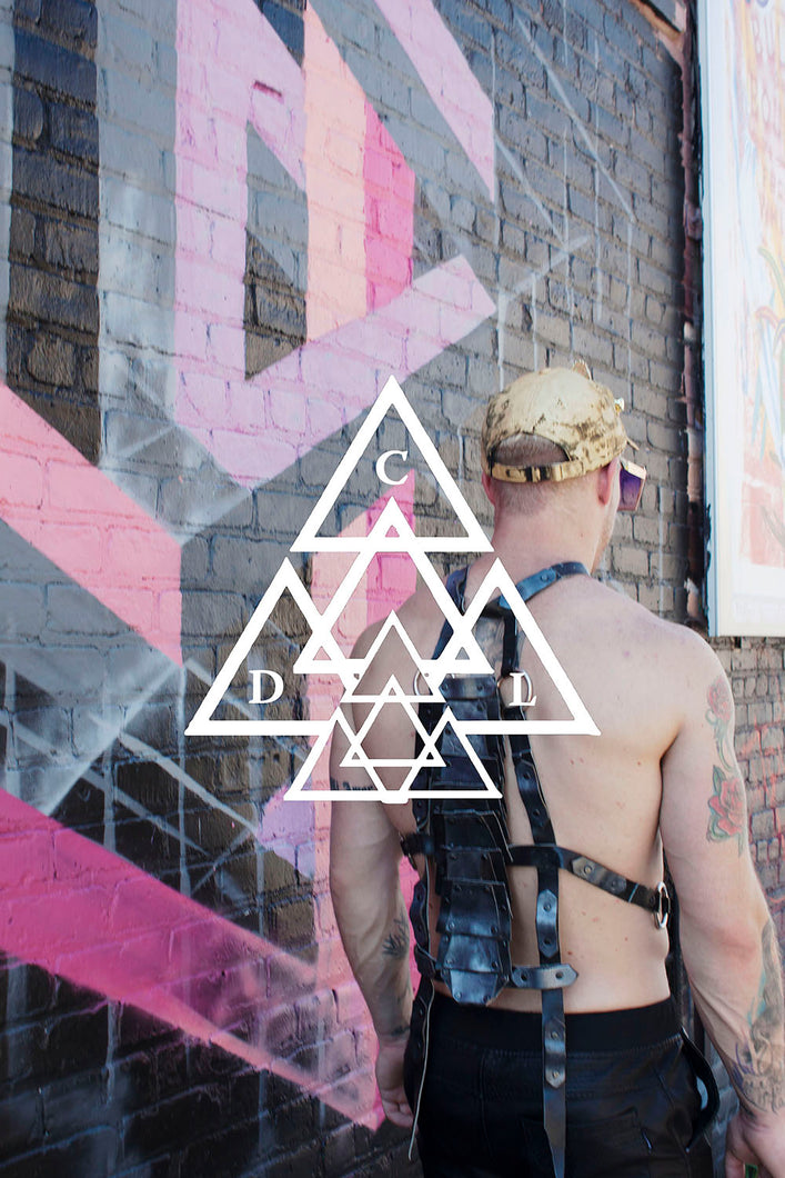 the raptor body harness made by chateau de lion. cdl-hns-rptr-01-blk